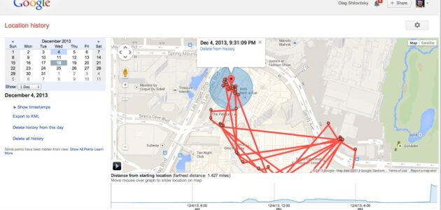 Google`s Location History Browser