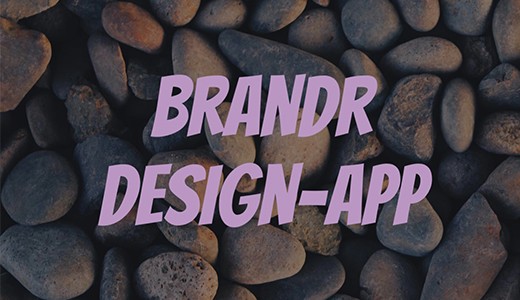 Titelbild Brandr App Review