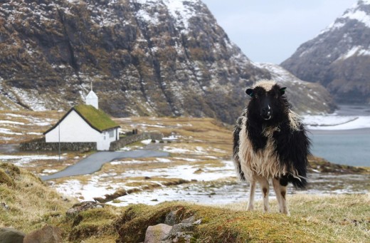Dank Google Sheep View die Färöer entdecken
