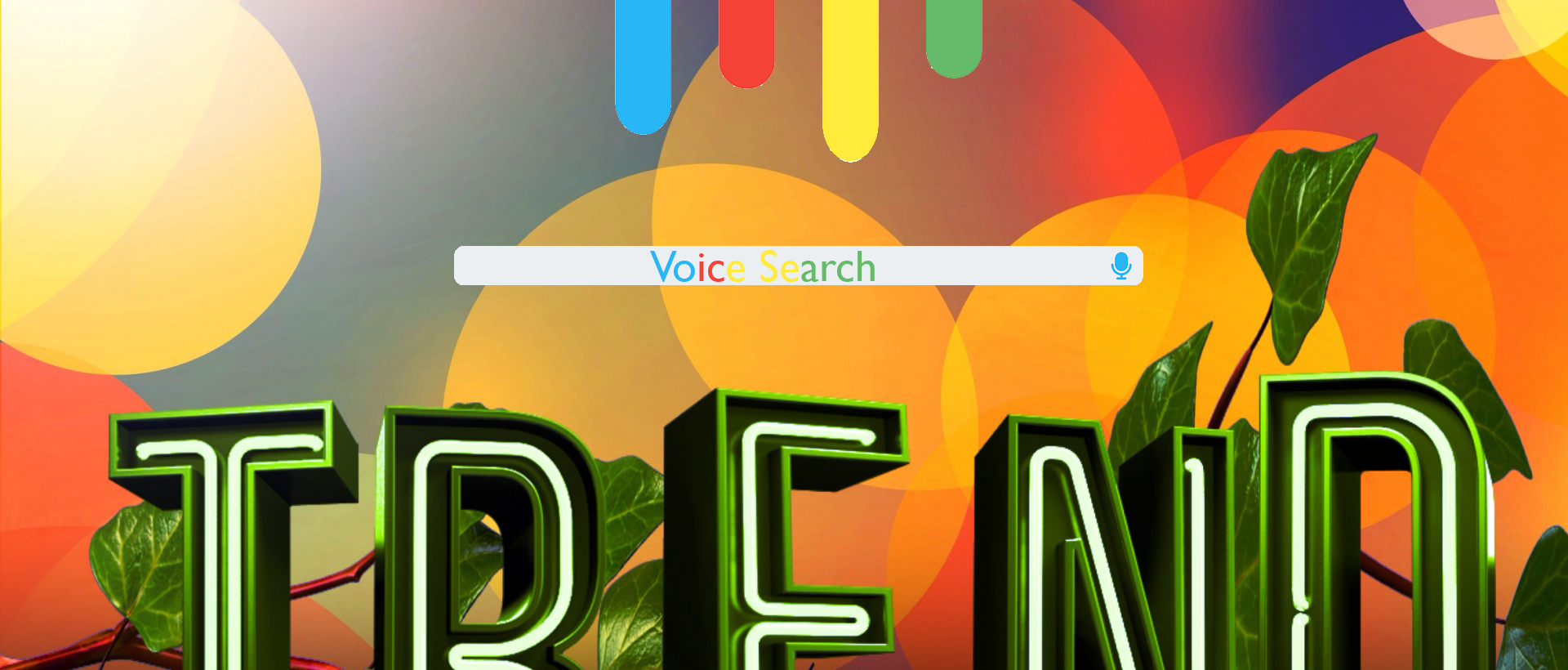 Voice Search Trend 2017