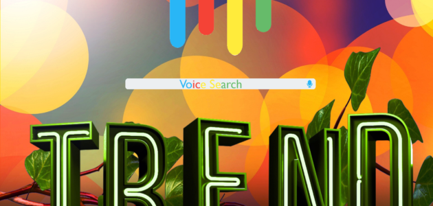 Voice Search Trend 2017