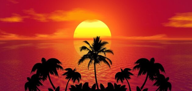 Bild von einem Sonnenuntergang über dem Meer. Im Vordergrund ist eine Insel mit Palmen abgebildet.