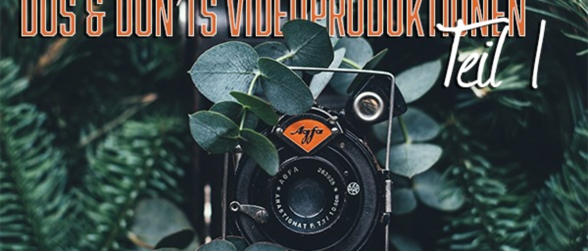 Beitragsbild mit vintage Kamera umgeben von Pflanzen