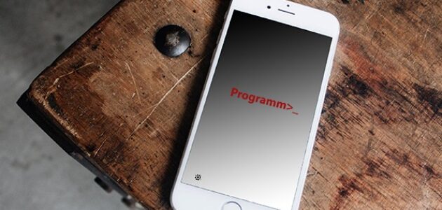 Handybildschirm zeigt die Imageboard-Online-Plattform Pr0gramm