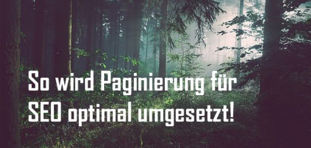 Wald mit Lichtung als Sinnbild für die Erleuchtung beim Thema Paginierung bei SEO