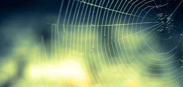 Spinnennetz als Sinnbild für das Linknetzwerk bei Externen Verlinkungen