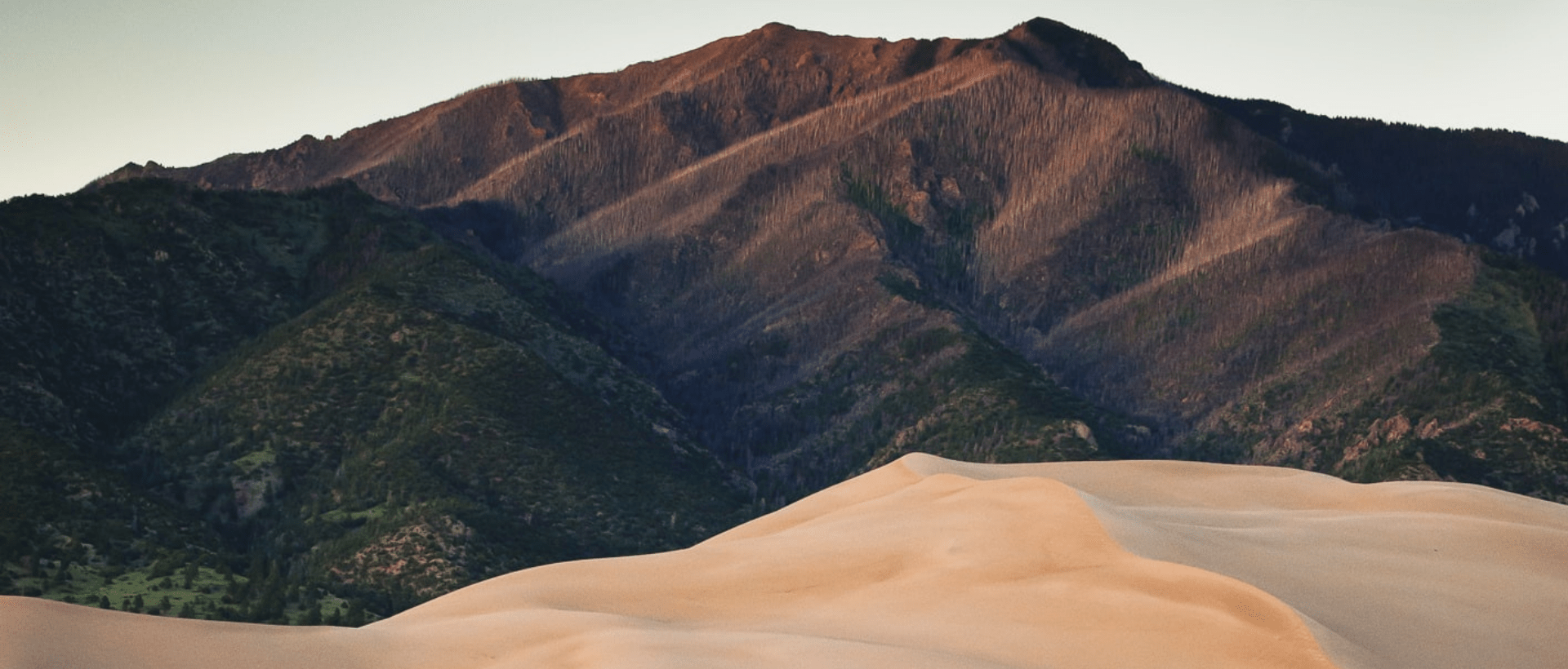 Sand und Wüstenlandschaft Sinnbildlich für angenehme Farben, 3D Effekt und organische Formen