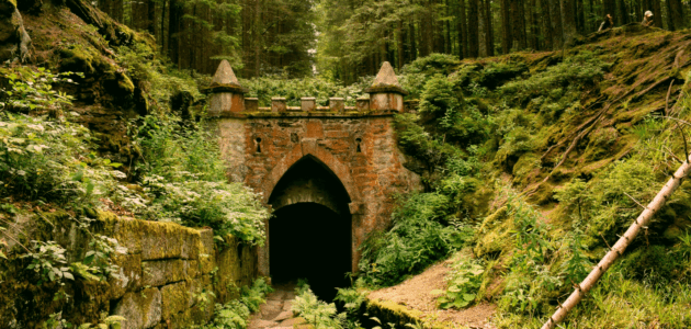 Ein Schloss liegt halb vergraben unter Moos im Wald und wird für den xeit Blogpost verwendet