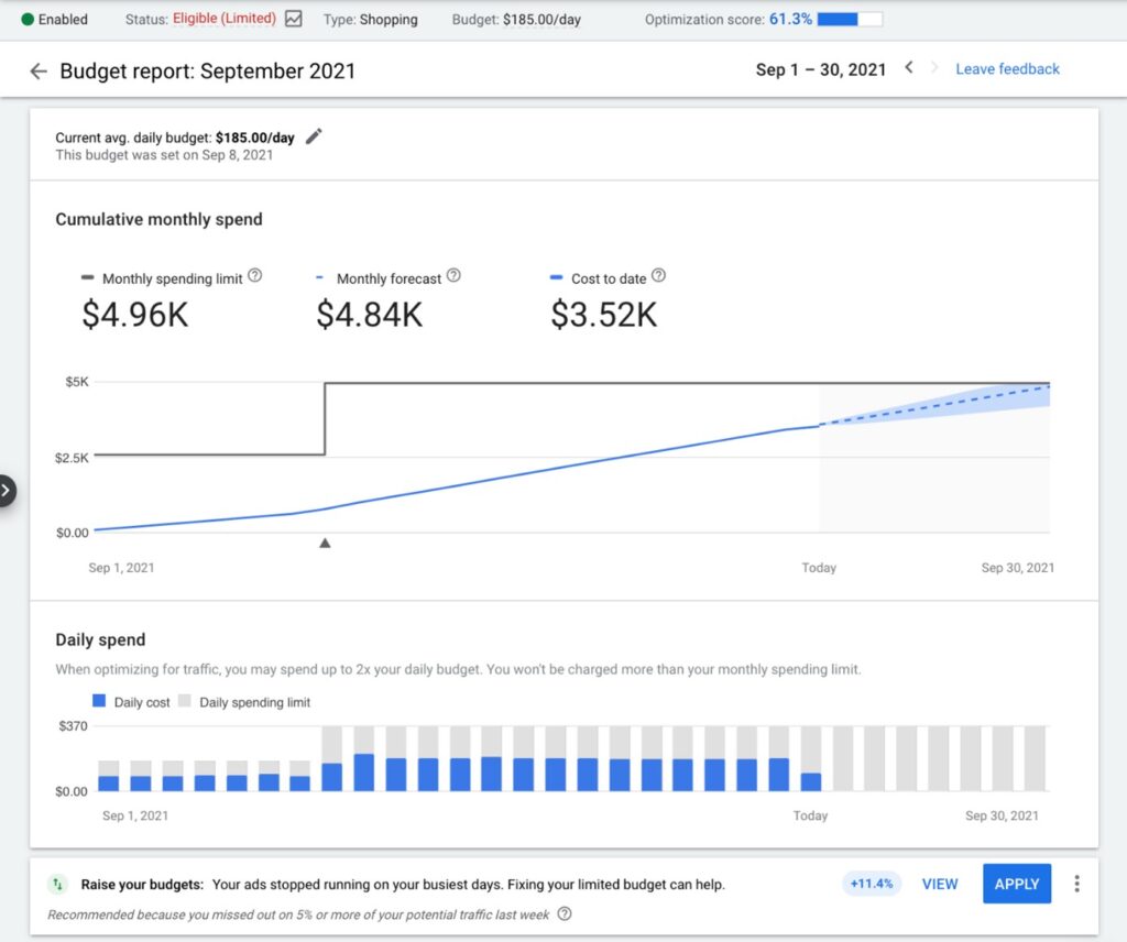 Screenshot des Budget-Reports in Google Ads