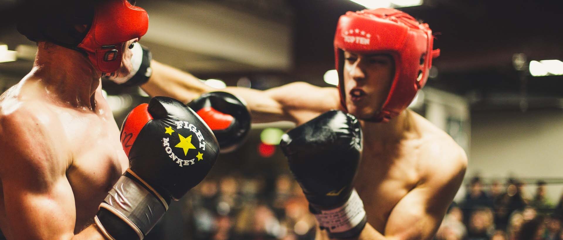 Zwei Boxer im Kampf