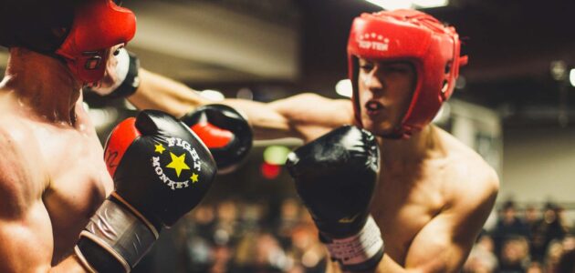 Zwei Boxer im Kampf