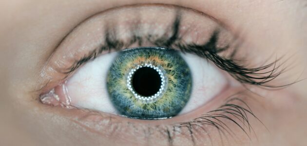 Grosses grünes Auge schaut in Kamera als Eye Tracking