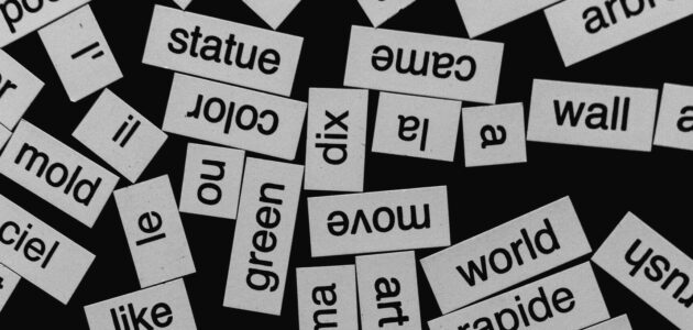 Wortausschnitte in Französisch und Englisch symbolisieren Mehrsprachigkeit auf Social Media