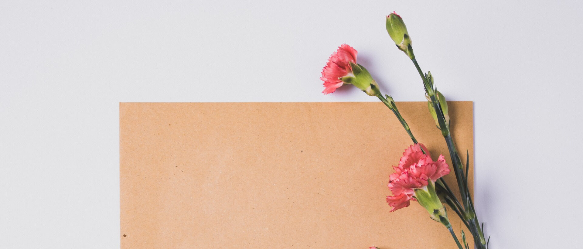 Ein braunes Stück Papier auf einem weissen Hintergrund, davor pinke Blumen