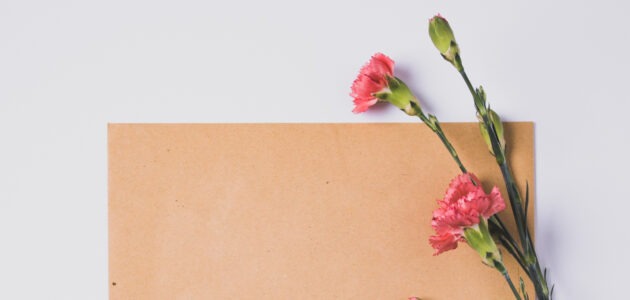 Ein braunes Stück Papier auf einem weissen Hintergrund, davor pinke Blumen